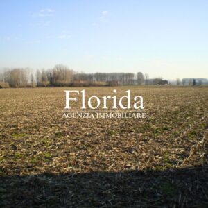 AGNA IN VENDITA - TERRENO AGRICOLO RIF. AGNA 1