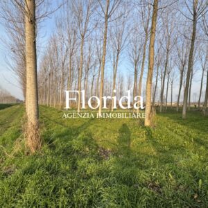 Terreno agricolo irriguo di 10.000 mq in vendita a Camposampiero - 1
